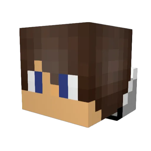 SetupsCactusFarm Minecraft avatar head, 3D render