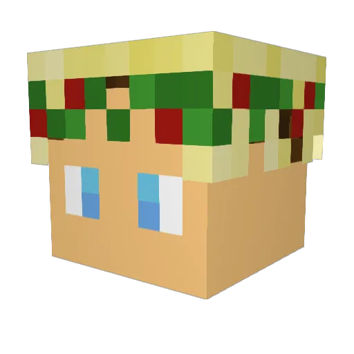 SetzDenHoodieAuf Minecraft avatar head, 3D render