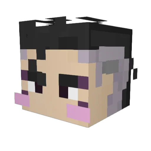 Seukre_ Minecraft avatar head, 3D render