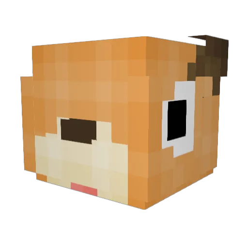 Seungwon248 Minecraft avatar head, 3D render