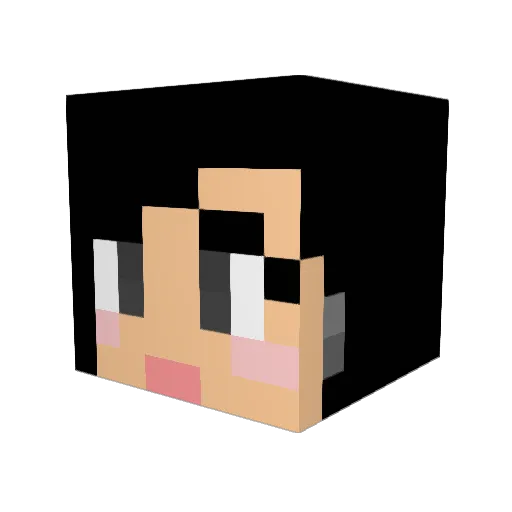 Sev1890 Minecraft avatar head, 3D render