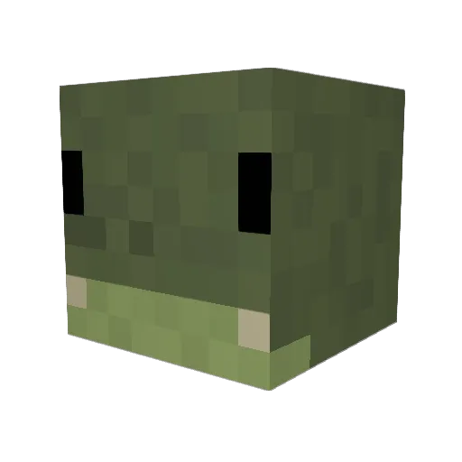SevenTurtle6710 Minecraft avatar head, 3D render