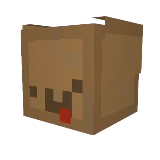 Seven_Koala Minecraft avatar head, 3D render