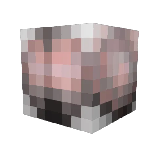 SeveredEyeball Minecraft avatar head, 3D render