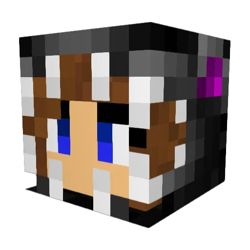 Sew1234 Minecraft avatar head, 3D render
