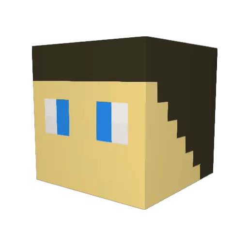 Sewban Minecraft avatar head, 3D render