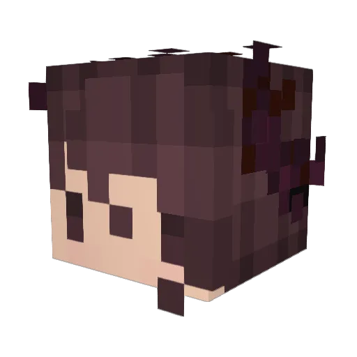 Sewer_Candy Minecraft avatar head, 3D render