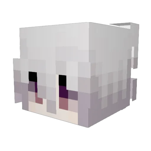 SewerynGG Minecraft avatar head, 3D render