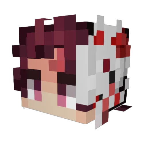 SexLesson Minecraft avatar head, 3D render