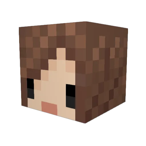 Sexokai Minecraft avatar head, 3D render
