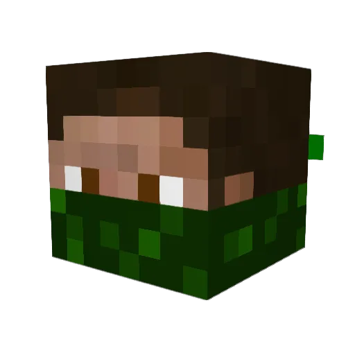 Sextacoo Minecraft avatar head, 3D render