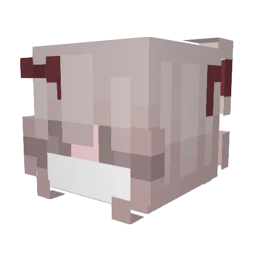 SextapeEnjoyer Minecraft avatar head, 3D render
