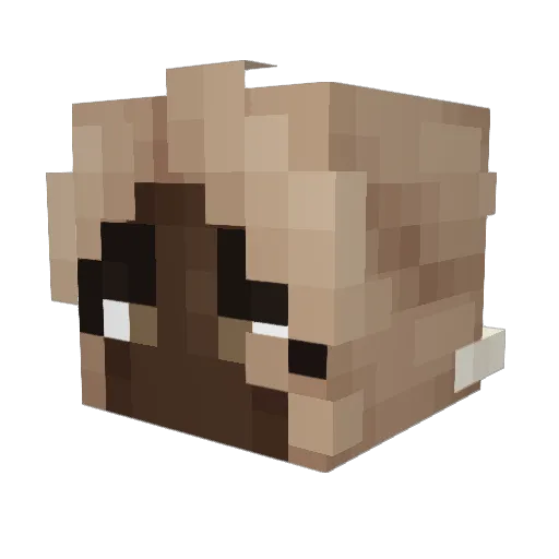 SexyHauseMaster Minecraft avatar head, 3D render