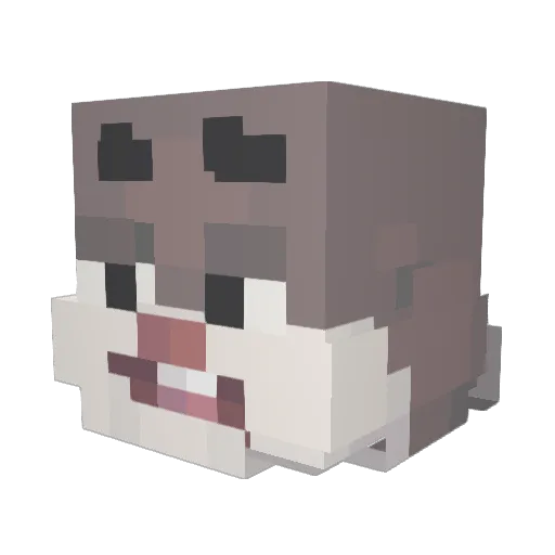 SeyBeaver Minecraft avatar head, 3D render
