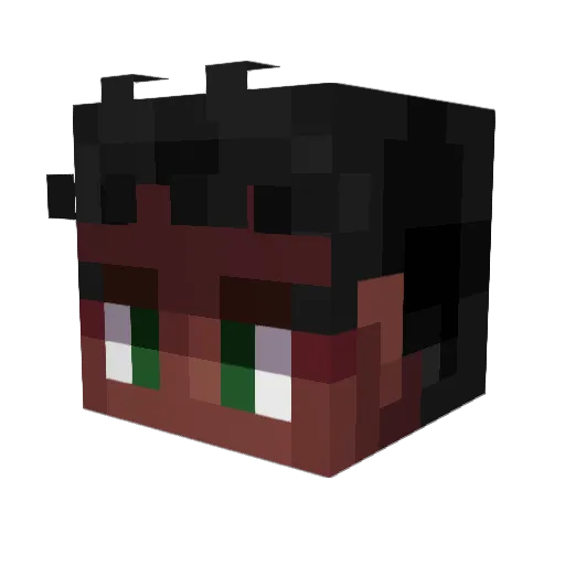 SeyFly99 Minecraft avatar head, 3D render