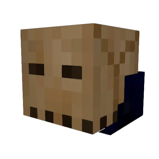 Seyager Minecraft avatar head, 3D render