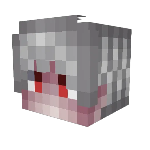 Seyffergn3 Minecraft avatar head, 3D render