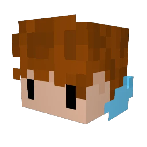 SeymourH Minecraft avatar head, 3D render