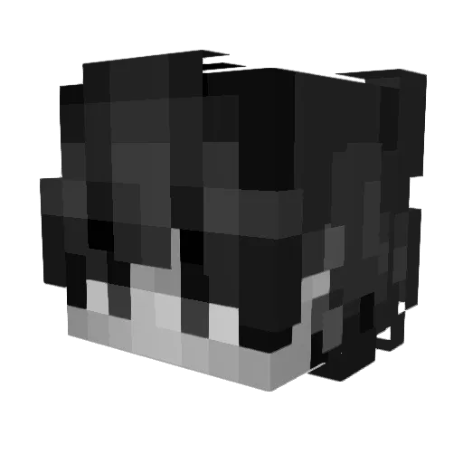 Seyo19 Minecraft avatar head, 3D render