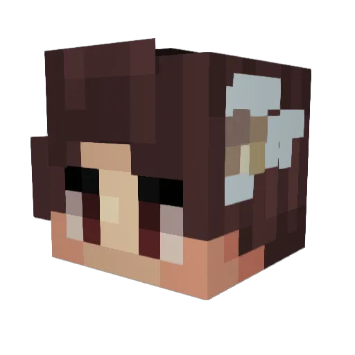 SezerTR Minecraft avatar head, 3D render