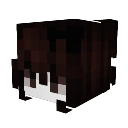 SfenKerPL Minecraft avatar head, 3D render