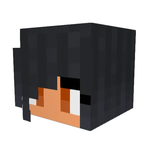 Sfgible Minecraft avatar head, 3D render