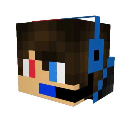 SfishSK6968 Minecraft avatar head, 3D render