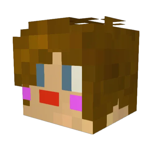 Sflower8 Minecraft avatar head, 3D render