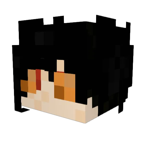 SftcoreTrashtalk Minecraft avatar head, 3D render