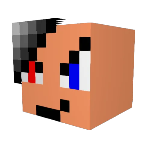 Sfugger666 Minecraft avatar head, 3D render