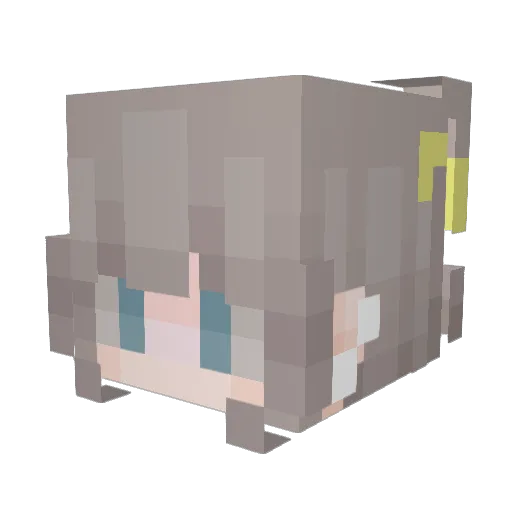 SgaagS Minecraft avatar head, 3D render