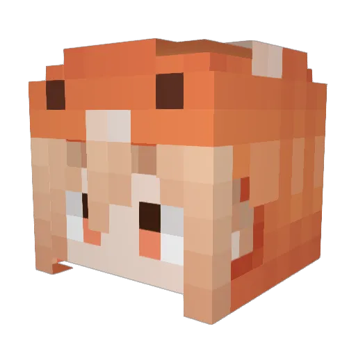 Sgappe_ Minecraft avatar head, 3D render