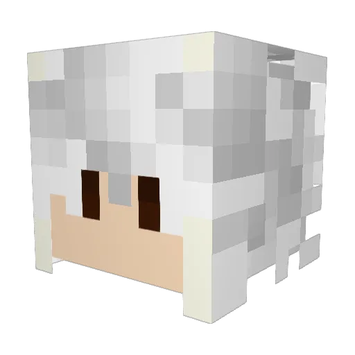 Sgnaft29 Minecraft avatar head, 3D render