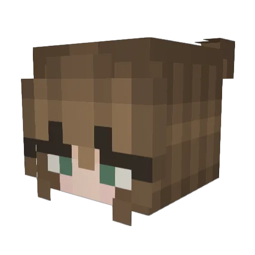 Sgokk Minecraft avatar head, 3D render