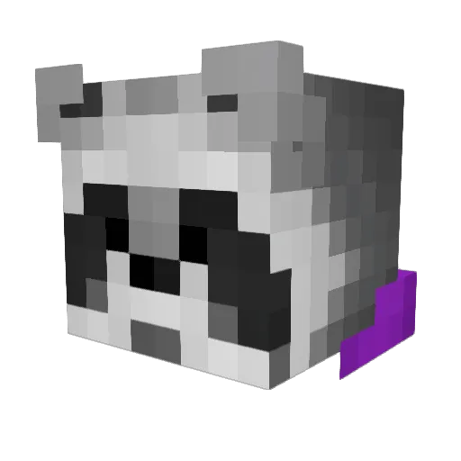 Sgotter03 Minecraft avatar head, 3D render