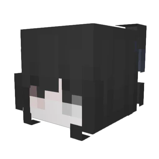 Sgouchi Minecraft avatar head, 3D render