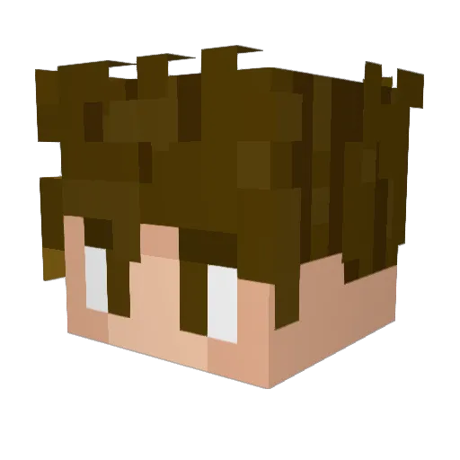 Sgox Minecraft avatar head, 3D render
