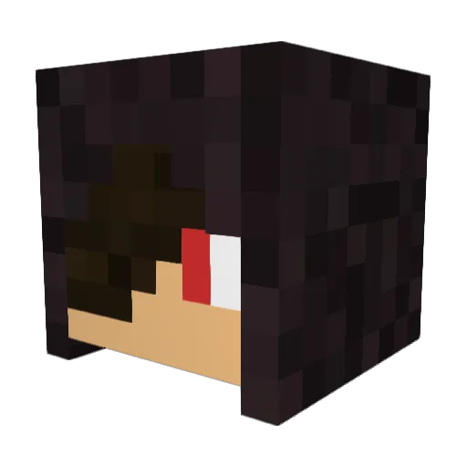 Sgp550 Minecraft avatar head, 3D render
