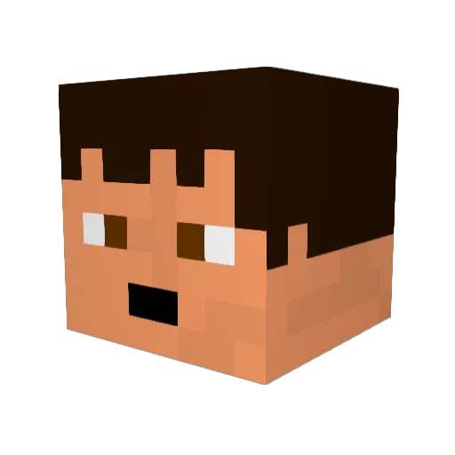 SgtFunBun Minecraft avatar head, 3D render