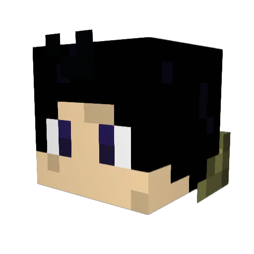 Sgt_Snowcone Minecraft avatar head, 3D render