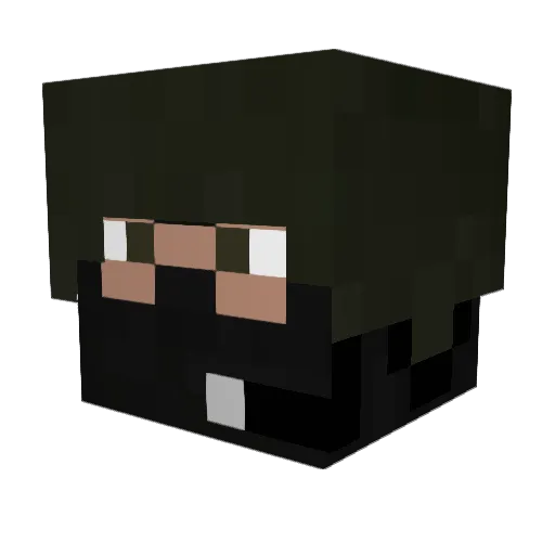 Sgt_Tetgmeyer Minecraft avatar head, 3D render