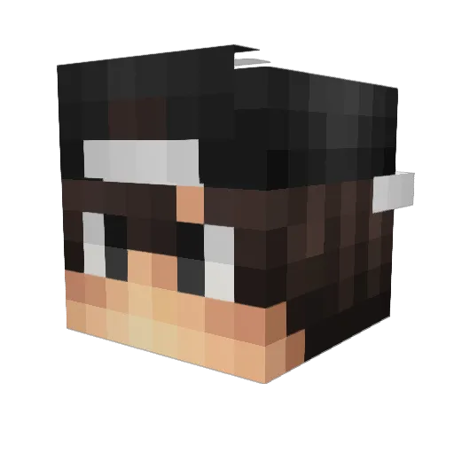 Sgt_zippy Minecraft avatar head, 3D render