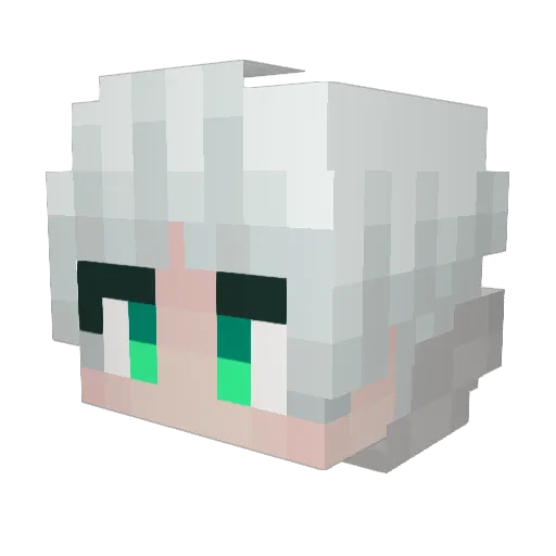 Sgull Minecraft avatar head, 3D render