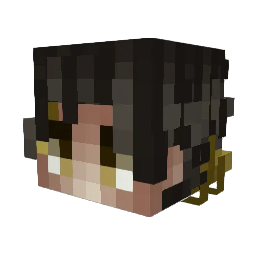 Sh0cKed247 Minecraft avatar head, 3D render
