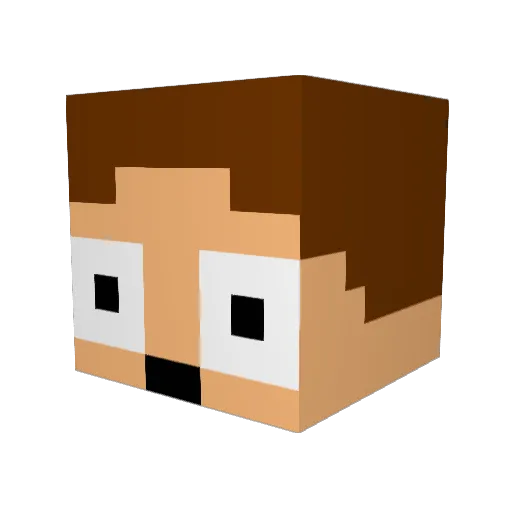 Sh0ong Minecraft avatar head, 3D render