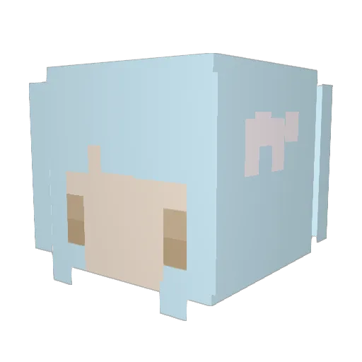 Sh0pie Minecraft avatar head, 3D render
