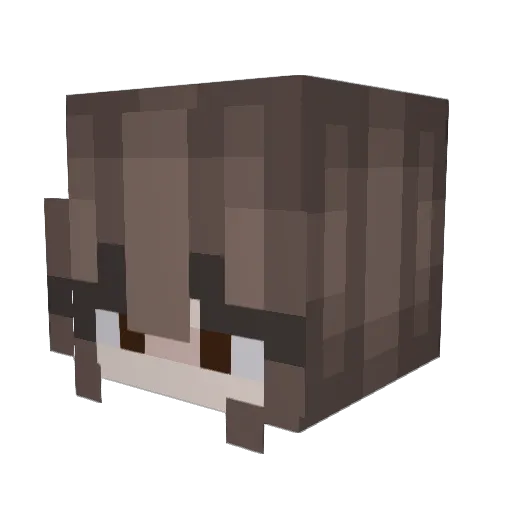 Sh0rtG1raffe Minecraft avatar head, 3D render