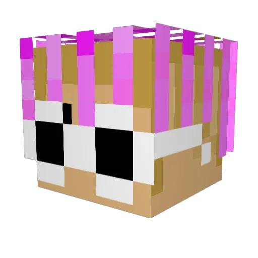 Sh0rtycake Minecraft avatar head, 3D render