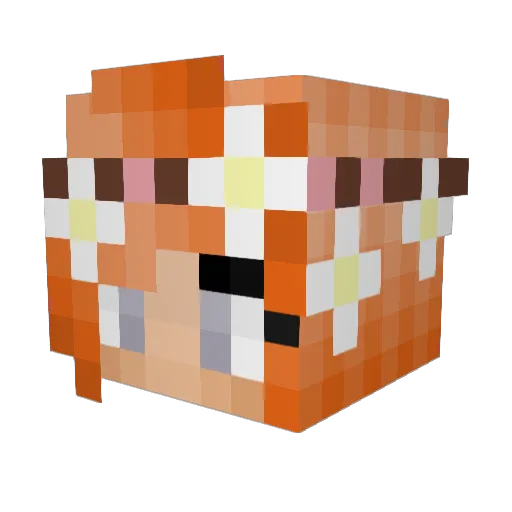 Sh0wA Minecraft avatar head, 3D render