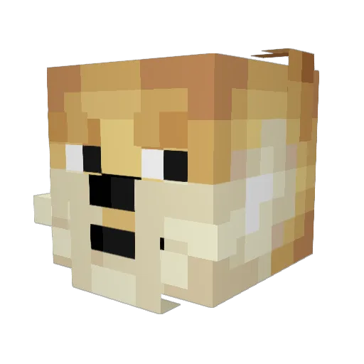 Sh1bait Minecraft avatar head, 3D render